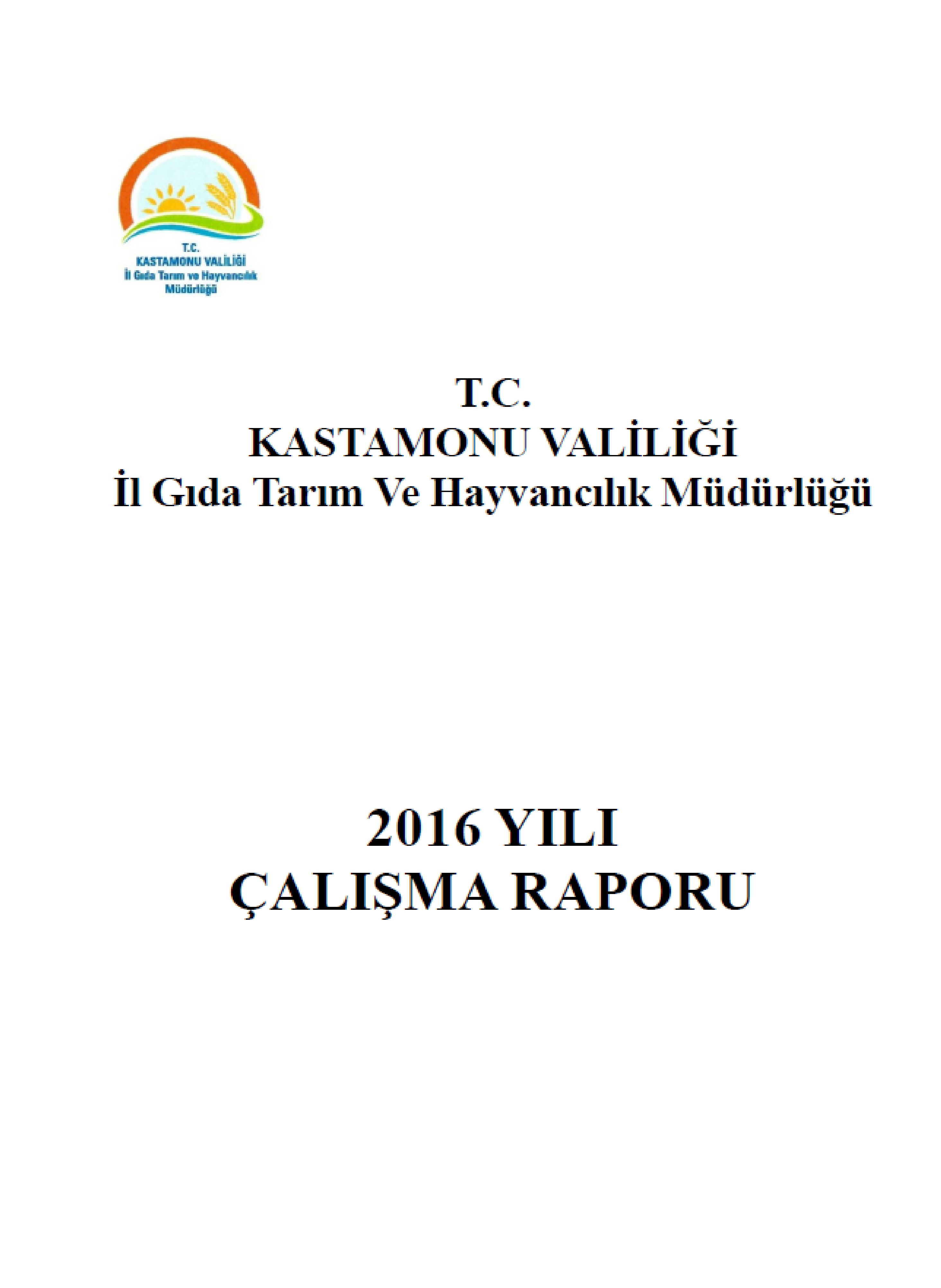 Çalışma Raporu 2016.jpg