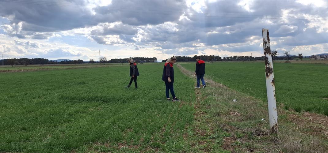 Hububatta hastalık ve zararlı kontrolü